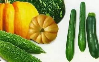 大冬吃瓜,一场别开生面的冬日盛宴  第2张